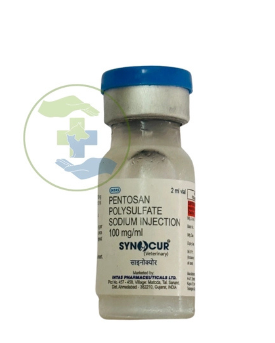 Intas Synocur Injection 2ml Online â€“ For Osteoarthritis, Lameness & Traumatic joints for Dog
