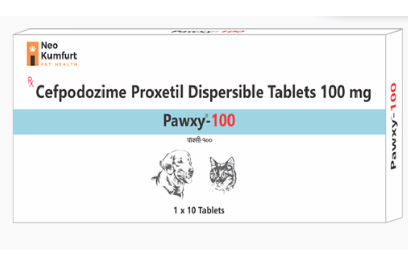 Neo Kumfurt Pawxy Tablets â€“ Broad-Spectrum Veterinary Antibiotic for Pets | Oral Cephalosporin for Skin & Respiratory Infections