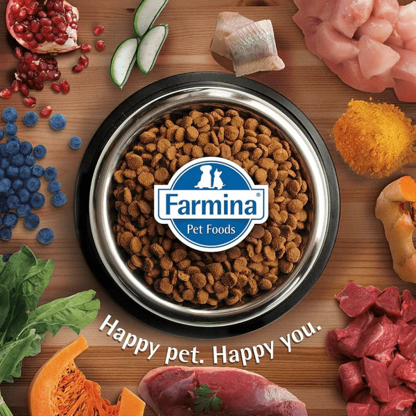 Farmina N&D Quinoa Quail, Coconut & Turmeric Skin & Coat Grain-Free Adult Mini Dog Dry Food â€“ High Protein, Omega-Rich Formula for Healthy Skin, Shiny Coat & Small Breed Wellness