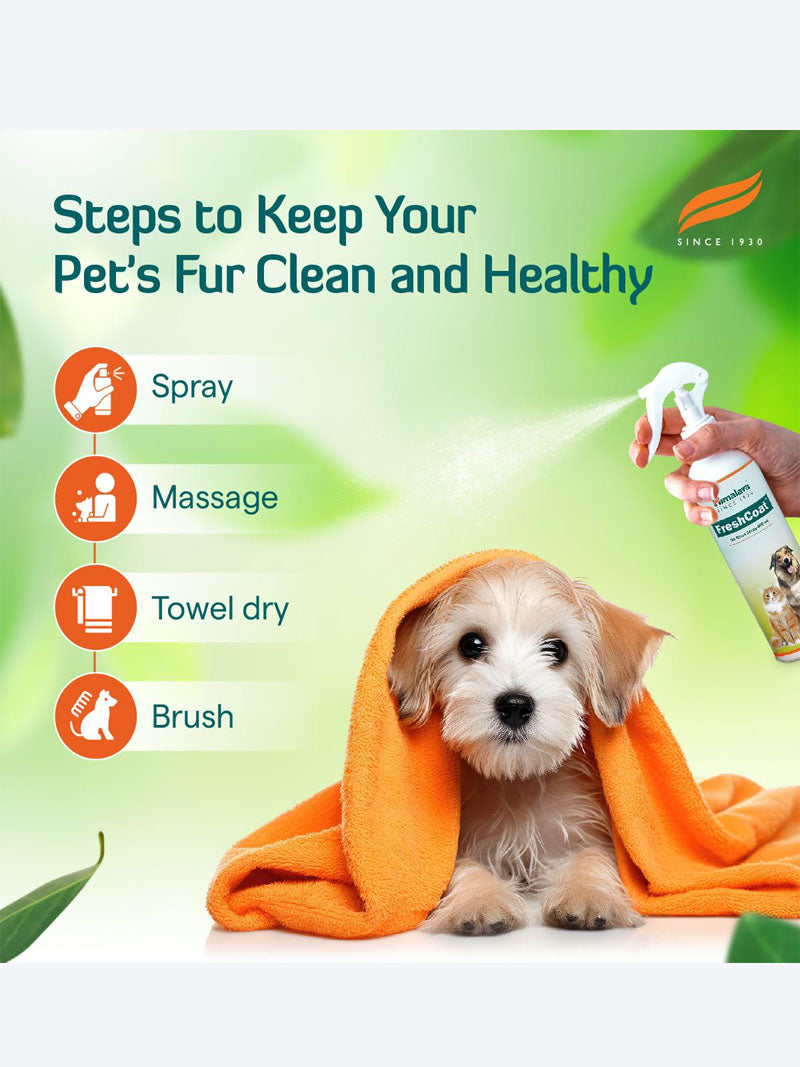 Himalaya Fresh Coat 200ml â€“ Herbal Dog & Cat Coat Conditioner Spray for Shiny, Tangle-Free Fur | Natural Pet Grooming & Hair Care Solution