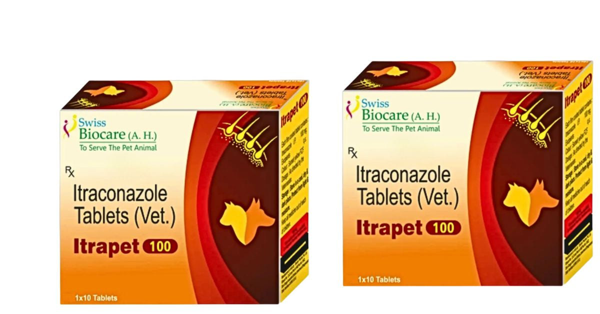 Corise Itrapet Itraconazole 100 mg Tablets â€“ for Dogs & Cats
