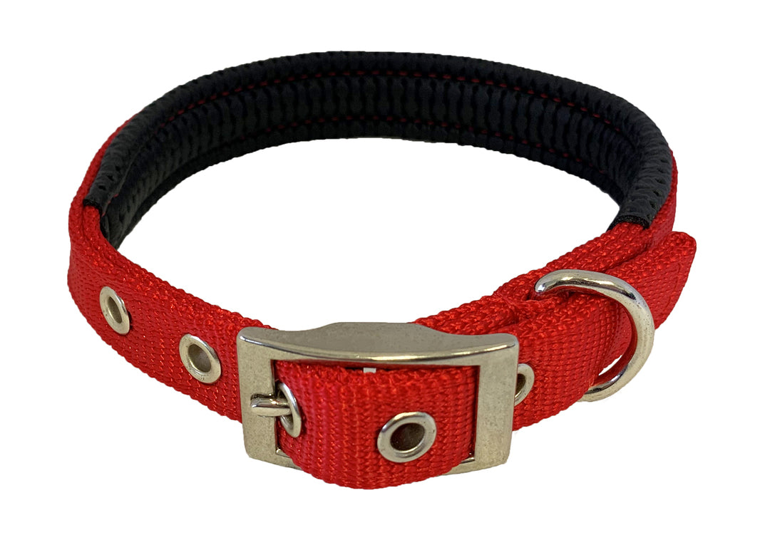 Paws & Tailsâ„¢ Plain Nylon Padded Dog Collar â€“ Soft Durable & Adjustable Pet Collar