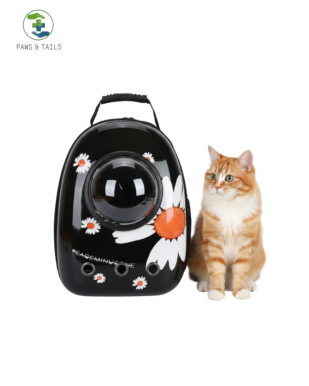 PET Astraunaut-Printed Bag with Window
