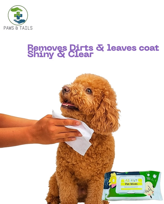 PET WIPES FOR DOGS & CATS ( PACK OF 100 PIECES )