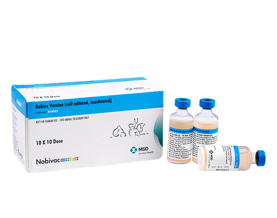 MSD Nobivac Rabies Vaccine | Safe Rabies Immunization for Dogs and Cats