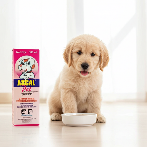 Alembic Ascal Pet Syrup â€“ Calcium Tonic for Pets | Supports Strong Bones, Growth & Immunity