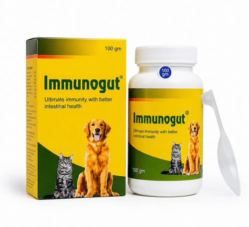 Assurem Immunogut Powder for Dogs & Cats (100gm)