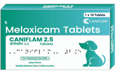 Canicon Caniflam-S Tablets for Dogs | Meloxicam & Serratiopeptidase Pain Relief