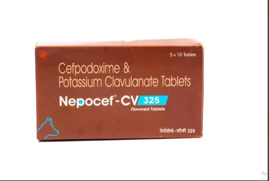 TTK Nepocef-CV tablet Flavoured Tablet â€“ Cefpodoxime + Potassium Clavulanate Antibiotic for Dogs & Cats