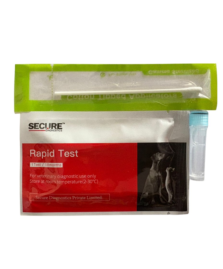 Canine Distemper Virus Antigen Rapid Test Kit (CDV) for Dogs â€“ Veterinary Diagnostic Home Testing Kit Pack of 1