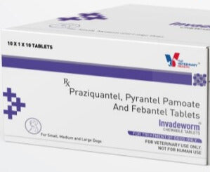 Drools Invadeworm Deworming Tablet for Dogs | Broad Spectrum Worm Treatment | Roundworm, Hookworm & Tapeworm Control | Veterinary Dewormer
