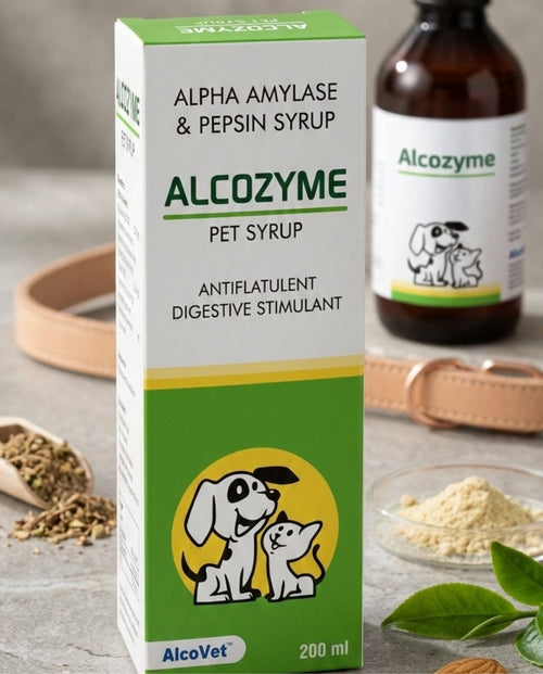 Alcovet Alcozyme 200ml Digestive Enzyme Syrup for Dogs & Cats