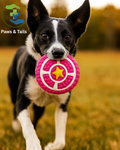 Paws & Tailsâ„¢ Rubber Squeaky Pie Toy â€“ Interactive Chew & Play Ball for Dogs and Cats