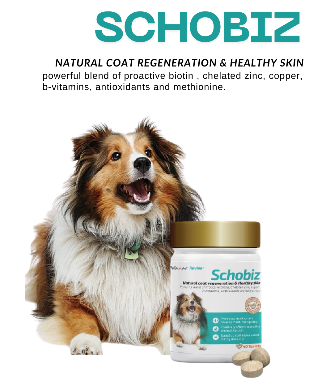 VVAAN Schobiz Tablets 40â€™s for Dogs | Antifungal & Antibacterial Skin Supplement for Itching, Mange, Fungal Infection & Dermatitis