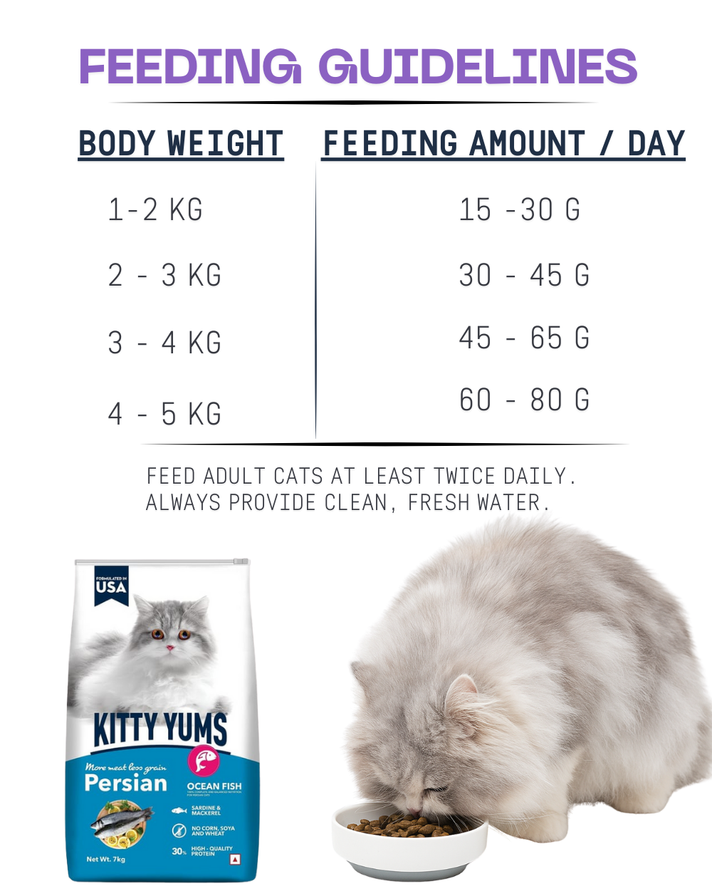 Kitty Yums Persian Cat Food 7kg â€“ Premium Dry Cat Food for Persian Cats | Healthy Coat & Digestive Care Formula