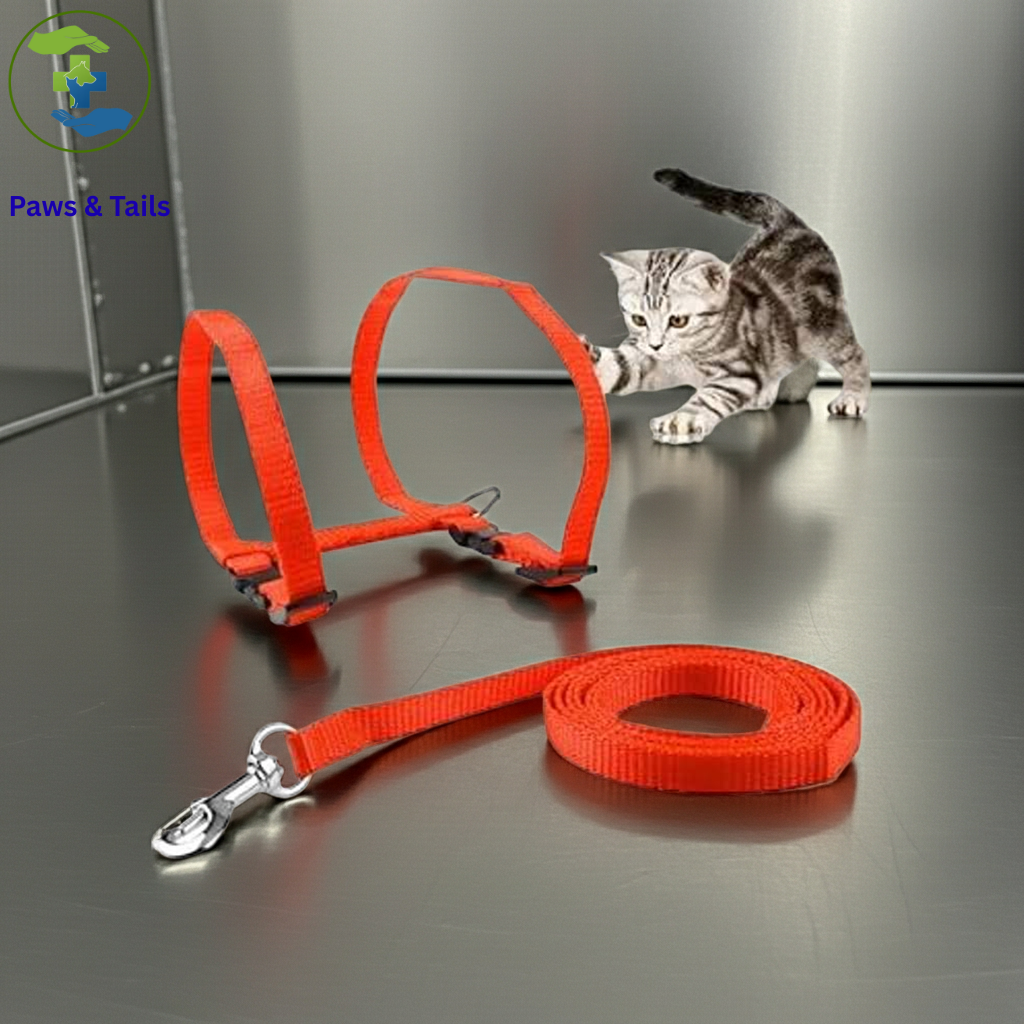 Paws & Tailsâ„¢ Adjustable Cat Harness and Leash Set