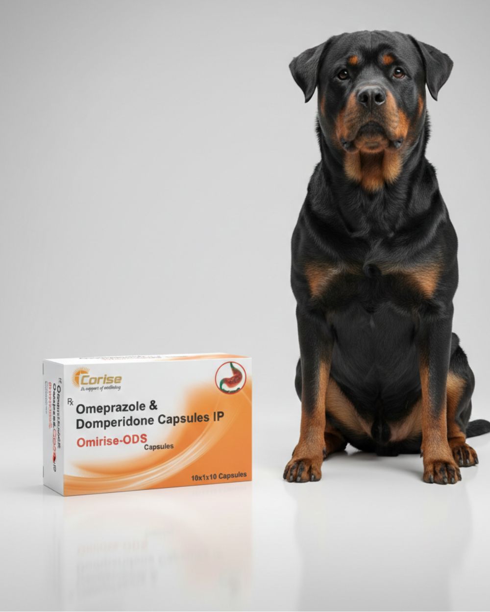 Corise Omirise ODS Capsules â€“ Advanced Anti-Reflux & Anti-Acidity Support