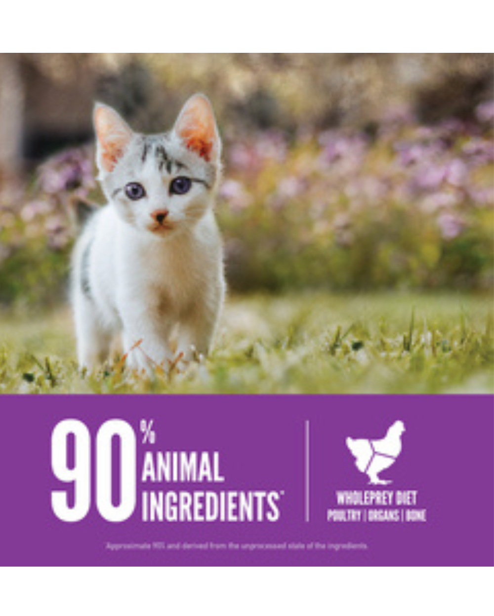 Orijen Kitten Dry Cat Food for All Breeds | Grain-Free, High-Protein Nutrition for Healthy Growth & Brain Development
