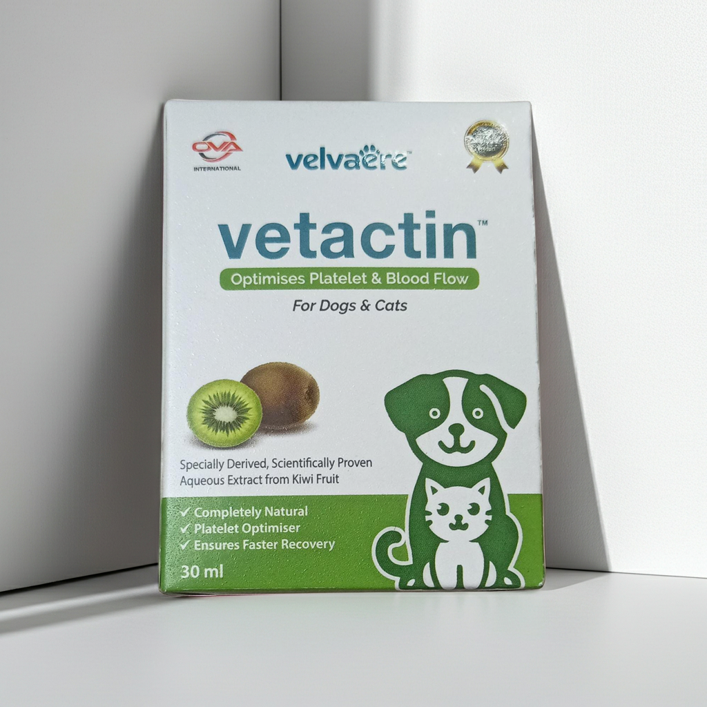 Velvaere Vetactin Syrup (30ml) Optimizes Platelet & Blood Flow for Dogs & Cats