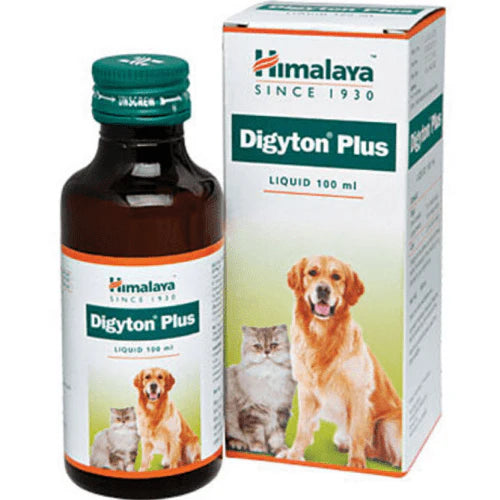 Himalaya Digyton Plus Pet Syrup â€“ Ayurvedic Digestive Supplement for Dogs & Cats | Relieves Indigestion & Improves Gut Function