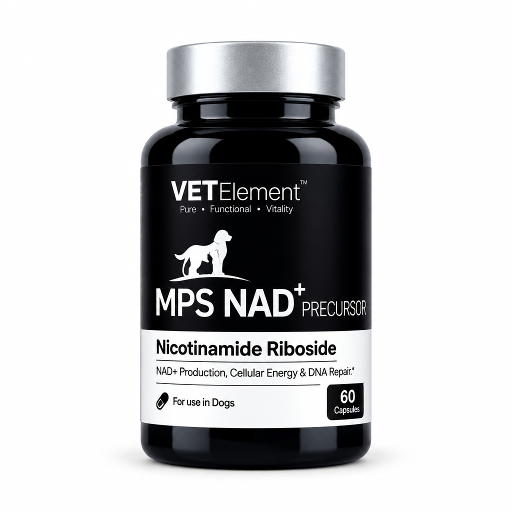 VETElement MPS NAD+ Precursor bottle of 60 capsules for dogs