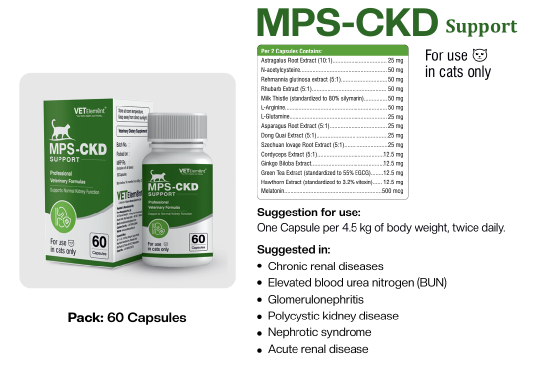 MPS-CKD Support for cats 60-capsule bottle and carton with composition and suggested use