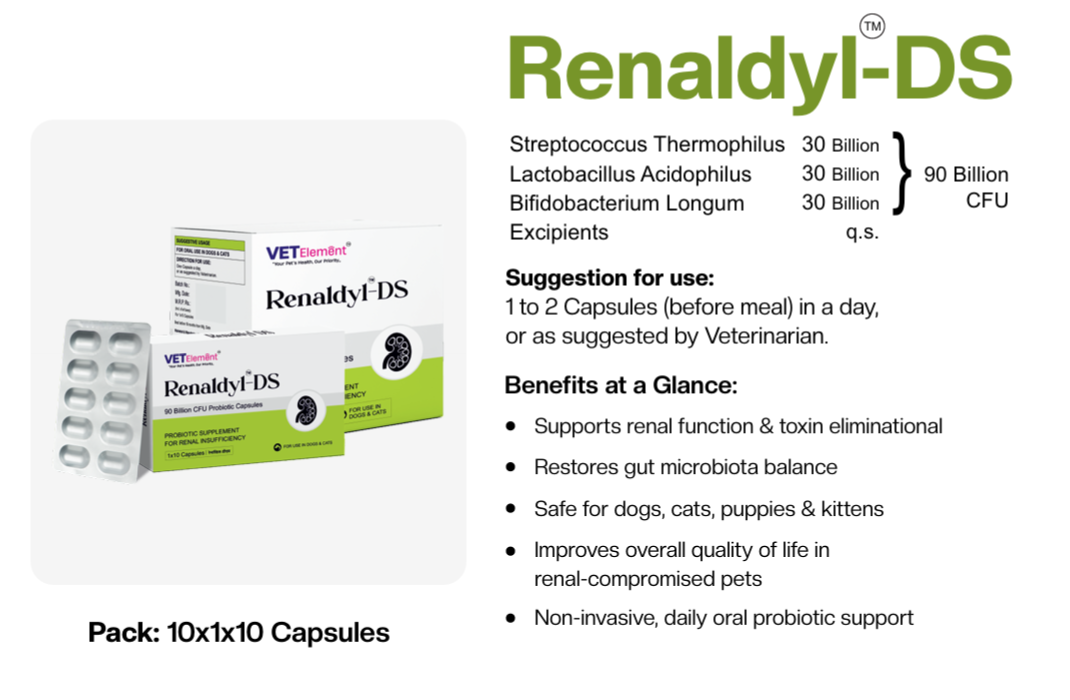 Renaldyl DS probiotic capsule packaging with 90 billion CFU composition and suggested use
