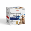 Azista Treatclin 300 mg clindamycin hydrochloride tablets carton