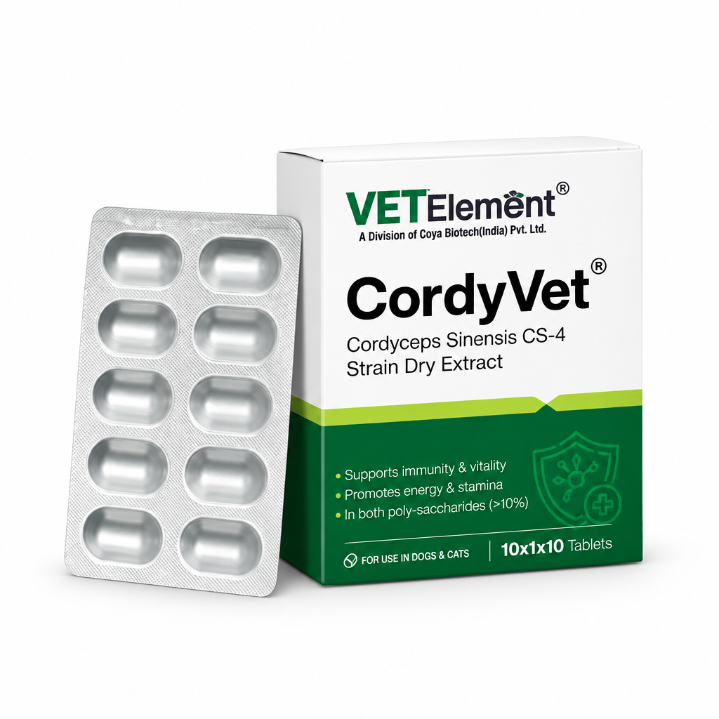 VETElement CordyVet carton and 10-tablet blister strip