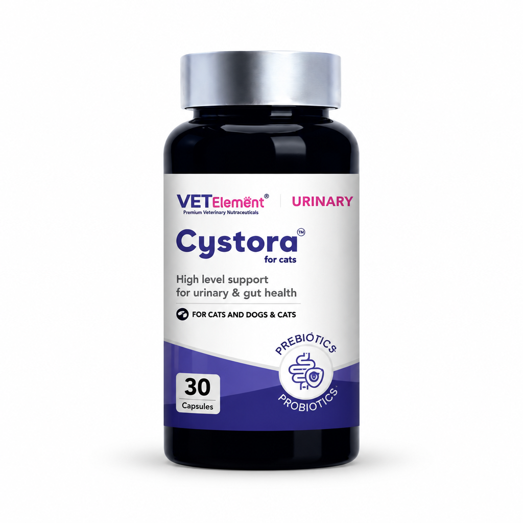 Cystora urinary support 30-capsule bottle for dogs and cats
