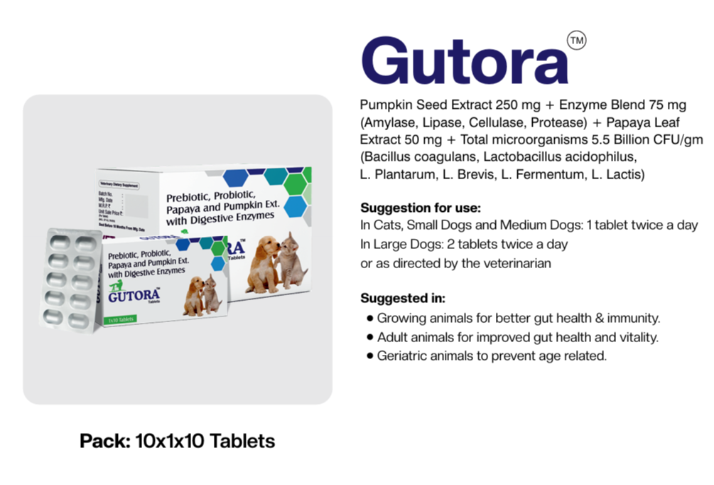 Gutora tablets product information with pumpkin, papaya, probiotics and digestive enzymes
