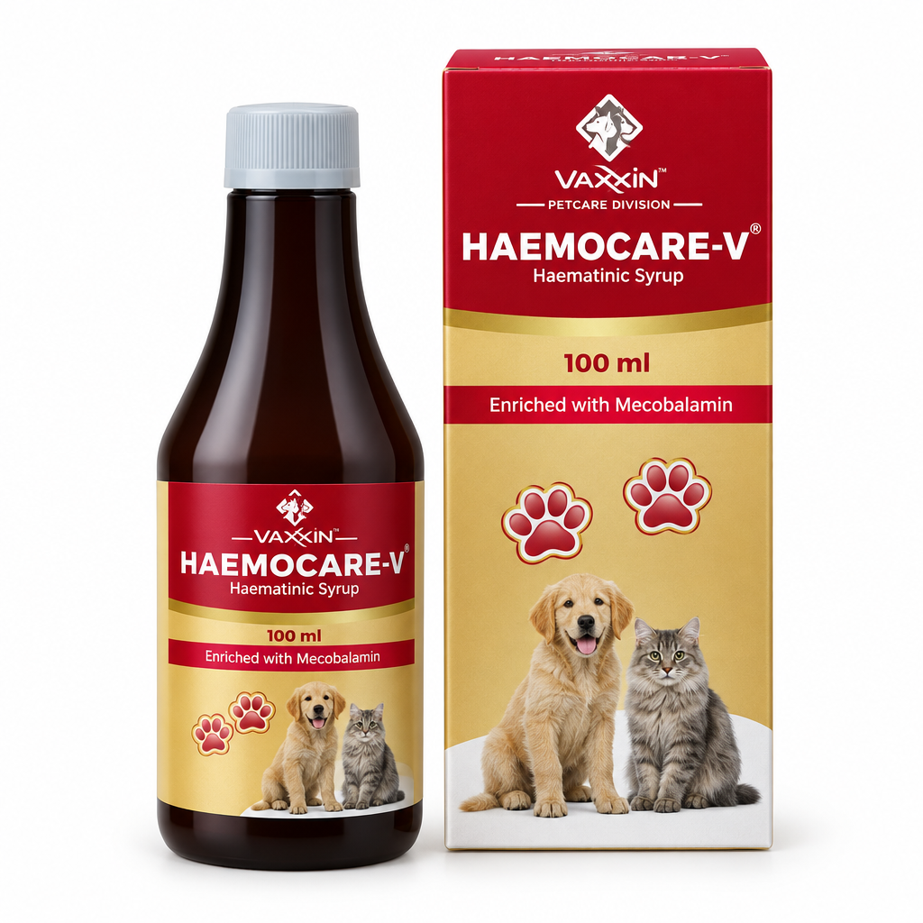 Varsha HAEMOCARE-V haematinic syrup for dogs and cats, 100 ml bottle and carton