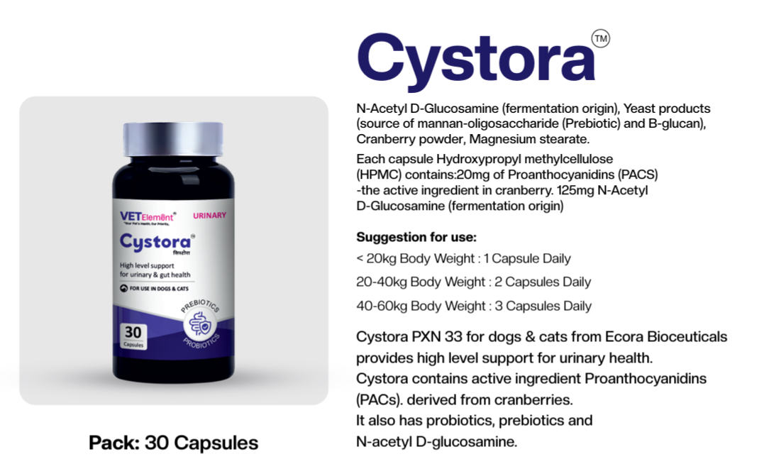 Cystora product information showing cranberry PACs, N-acetyl D-glucosamine and suggested use