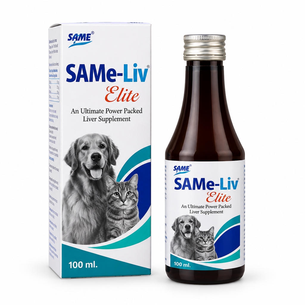 SAMe-Liv Elite 100 ml syrup bottle and carton on a white background
