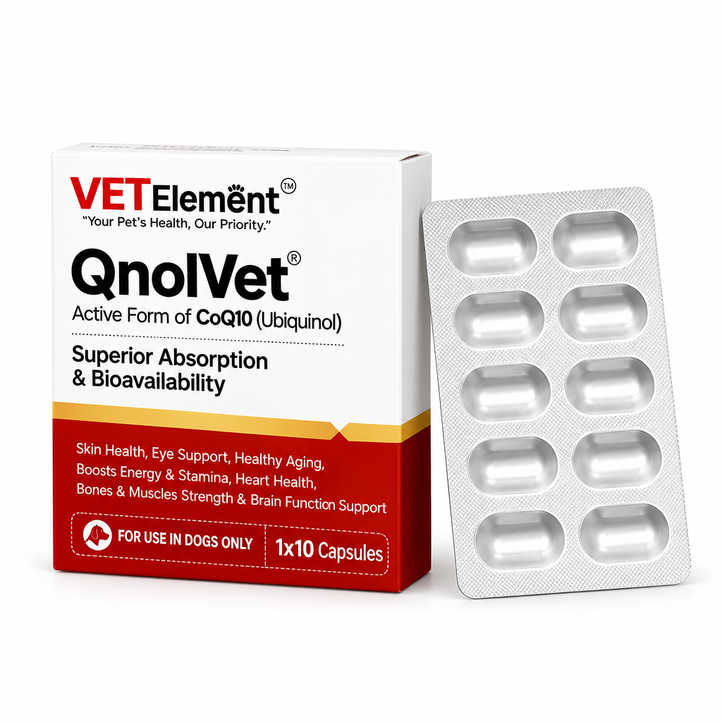 VETElement QnolVet Ubiquinol CoQ10 carton and 10-capsule blister for dogs