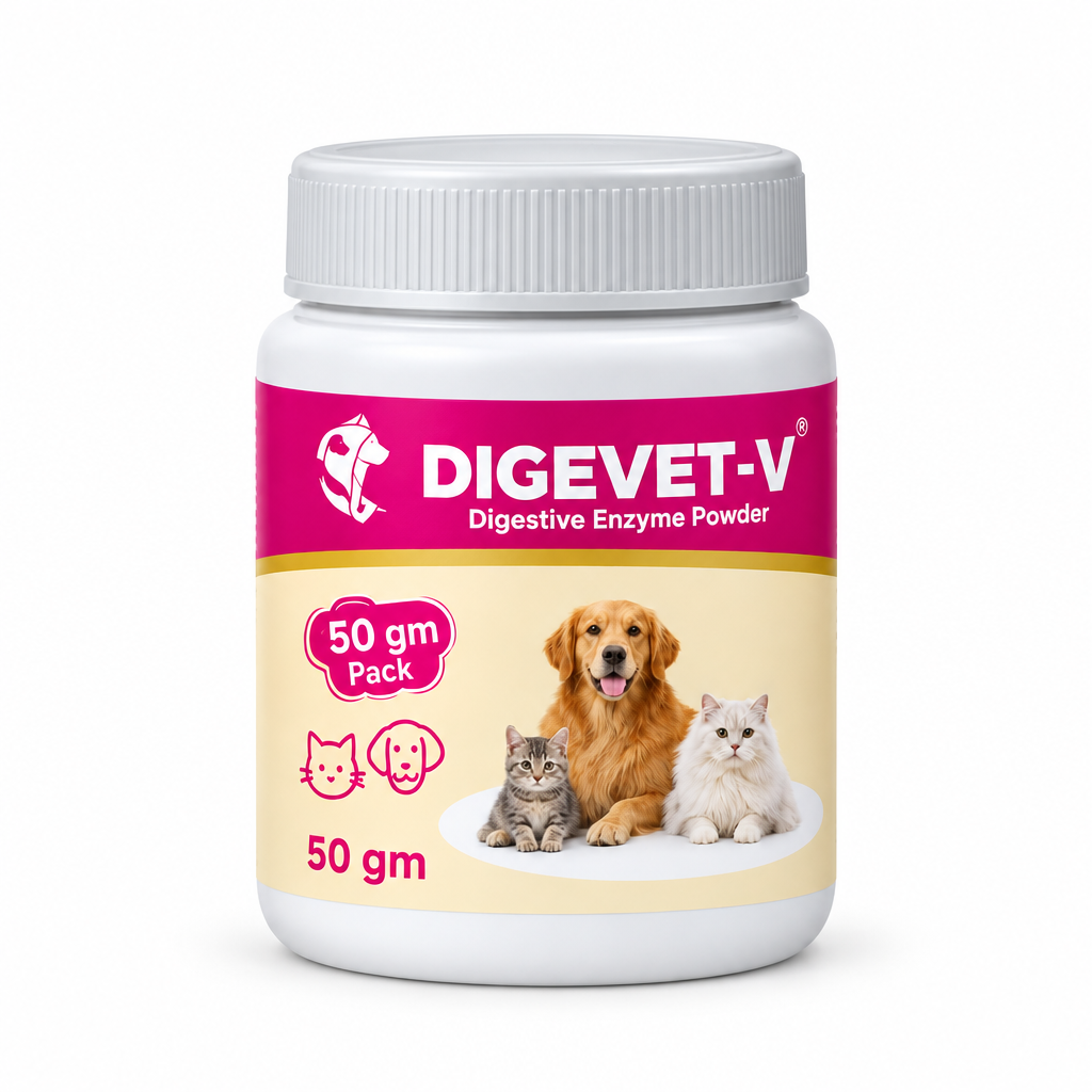 Varsa DIGEVET-V digestive enzyme powder for dogs and cats, 50 gm jar