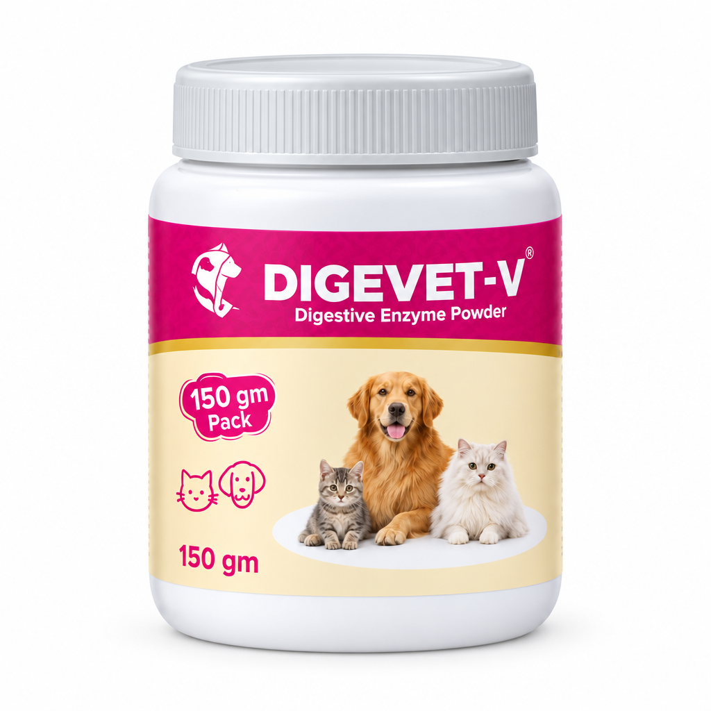 Varsa DIGEVET-V digestive enzyme powder for dogs and cats, 150 gm jar