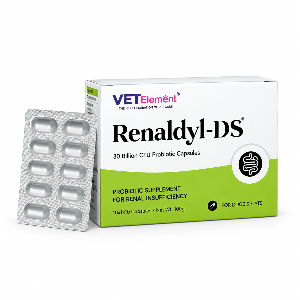 Renaldyl DS 10 probiotic capsules for dogs and cats, green and white carton with blister pack