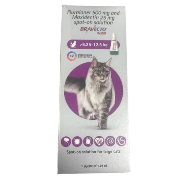 MSD Bravecto Plus Spot-On for Cats | Flea, Tick & Worm Treatment
