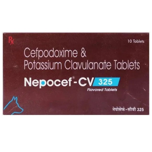 TTK Nepocef-CV 10's Tablet for Dogs & Cats