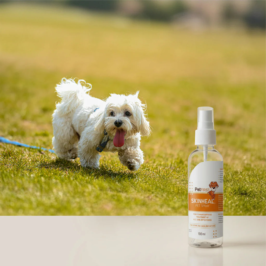 Skinheal Pet Spray 100ml for Dogs & Cats