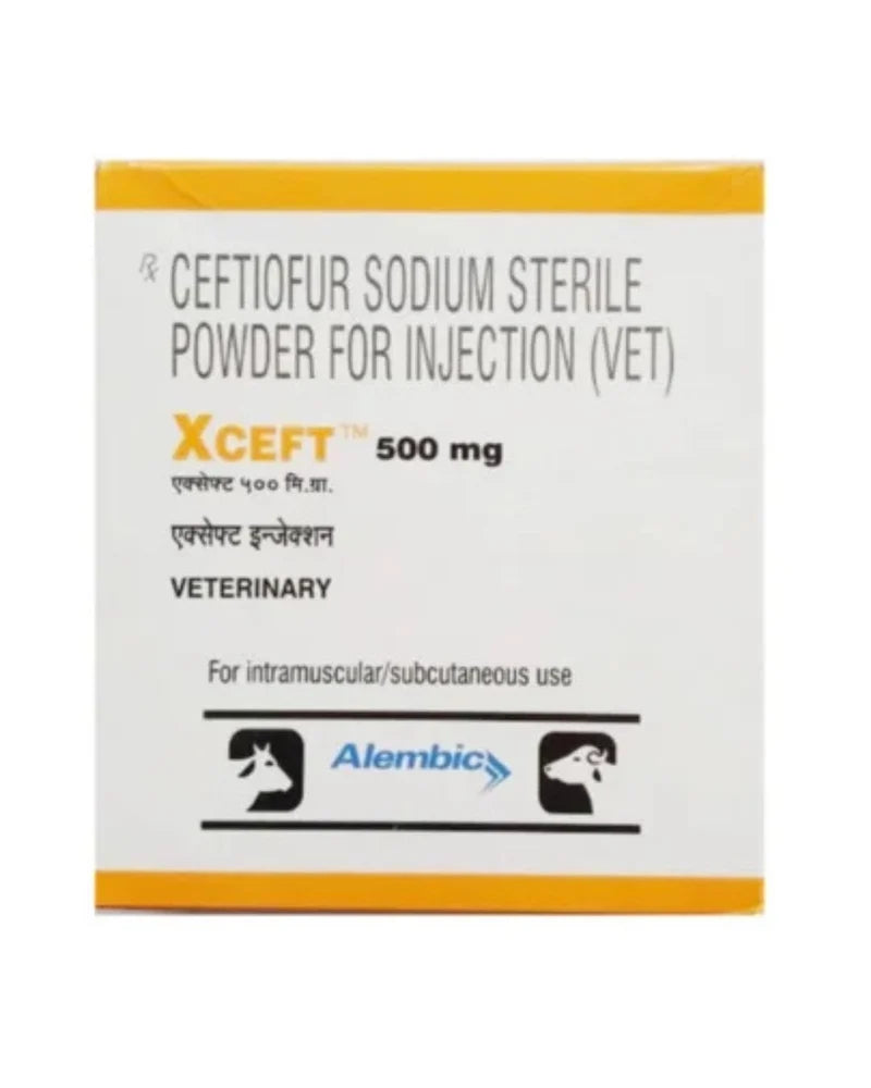 Alembic Xceft Pet Injection for Dogs